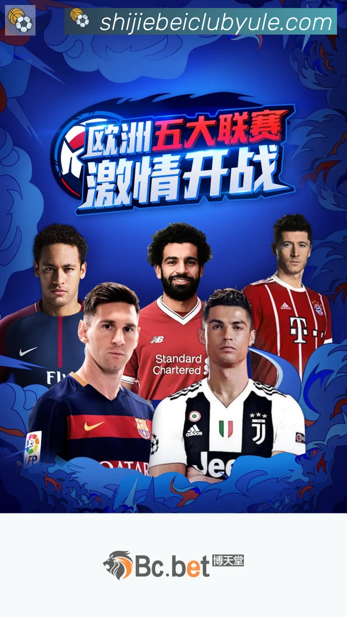 未来规划